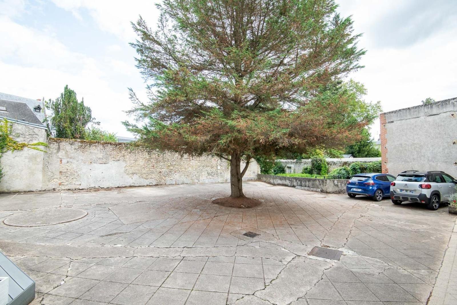 Apartament L'Ecureuil - Small T2 For 2 Pers. Amboise Zewnętrze zdjęcie